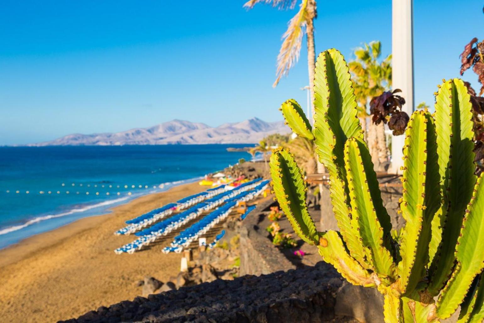Villa Isla De Lobos Puerto del Carmen  Eksteriør bilde